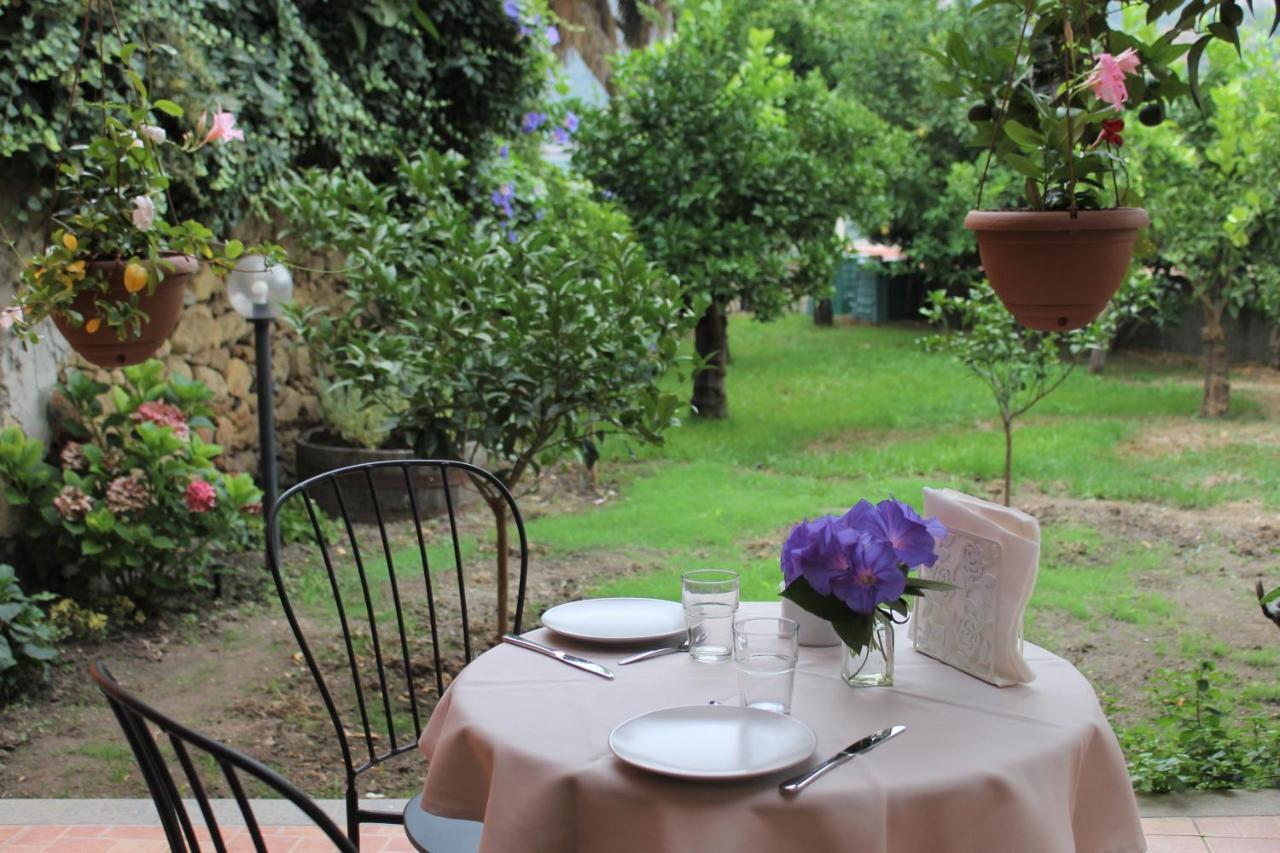 Bed and Breakfast Il Giardino Degli Aranci Modolo  Exterior foto
