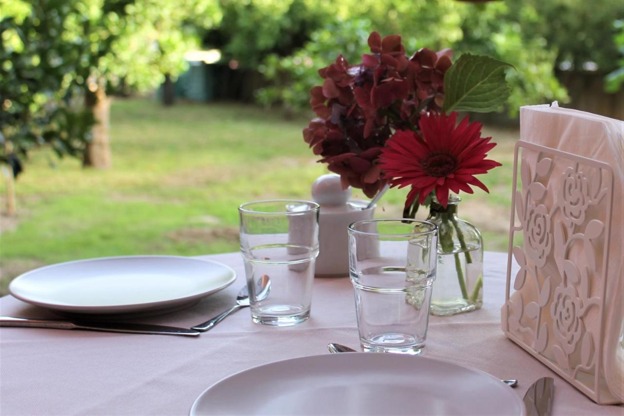 Bed and Breakfast Il Giardino Degli Aranci Modolo  Exterior foto