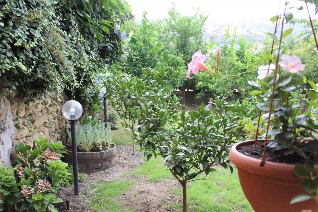 Bed and Breakfast Il Giardino Degli Aranci Modolo  Exterior foto